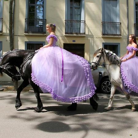 شقة La Cigogne Céret المظهر الخارجي الصورة
