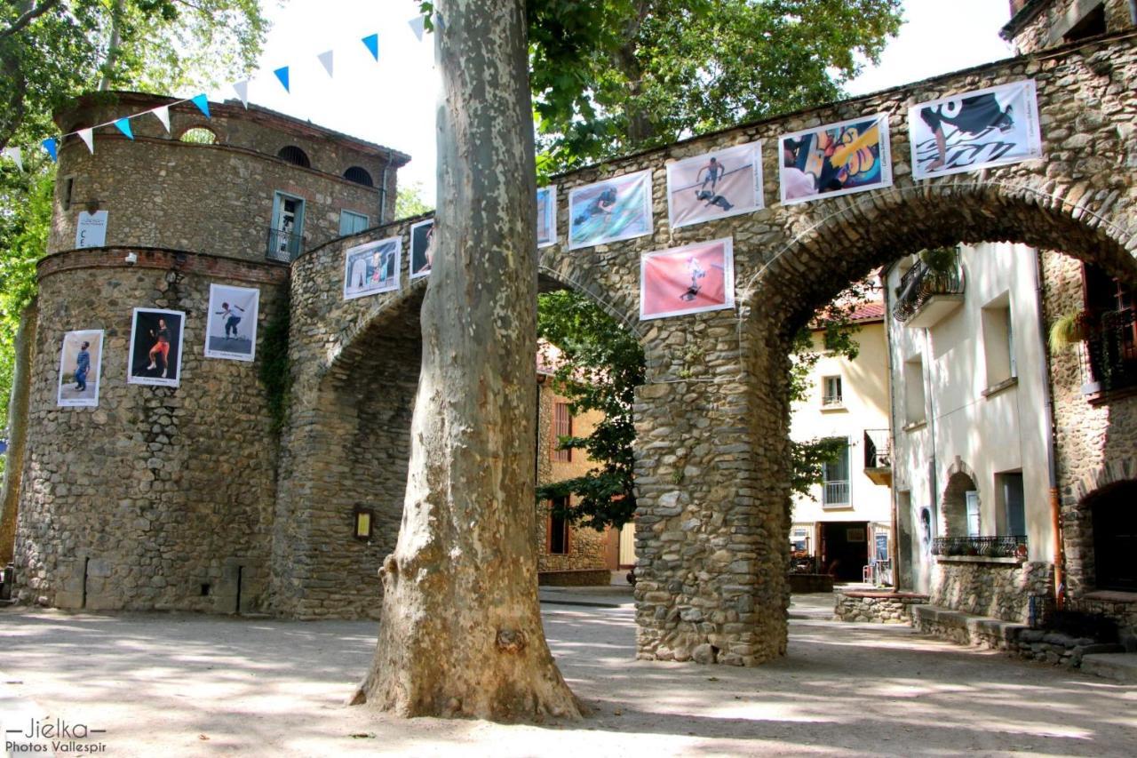 شقة La Cigogne Céret المظهر الخارجي الصورة
