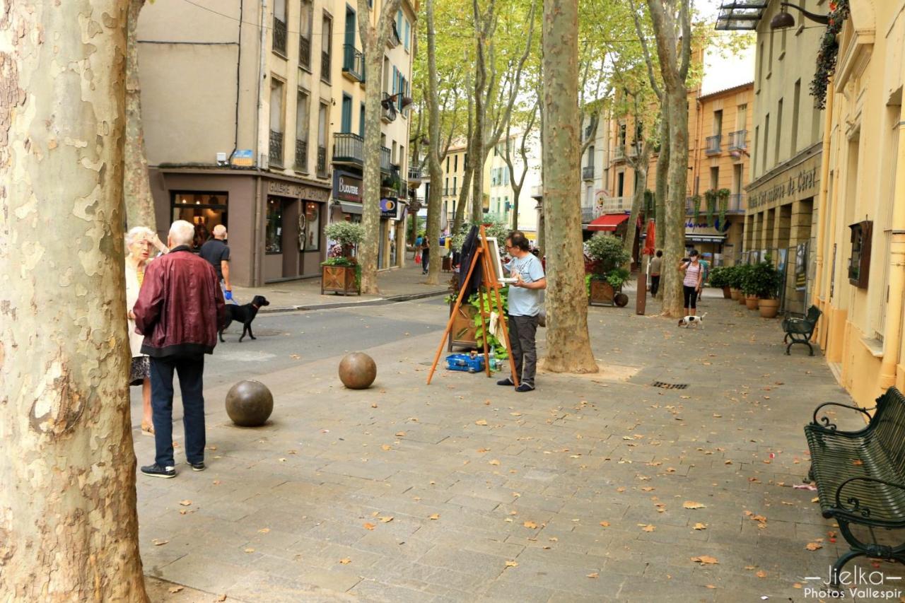 شقة La Cigogne Céret المظهر الخارجي الصورة