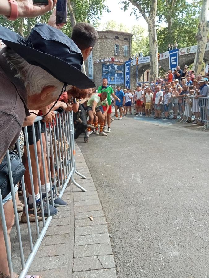 شقة La Cigogne Céret المظهر الخارجي الصورة