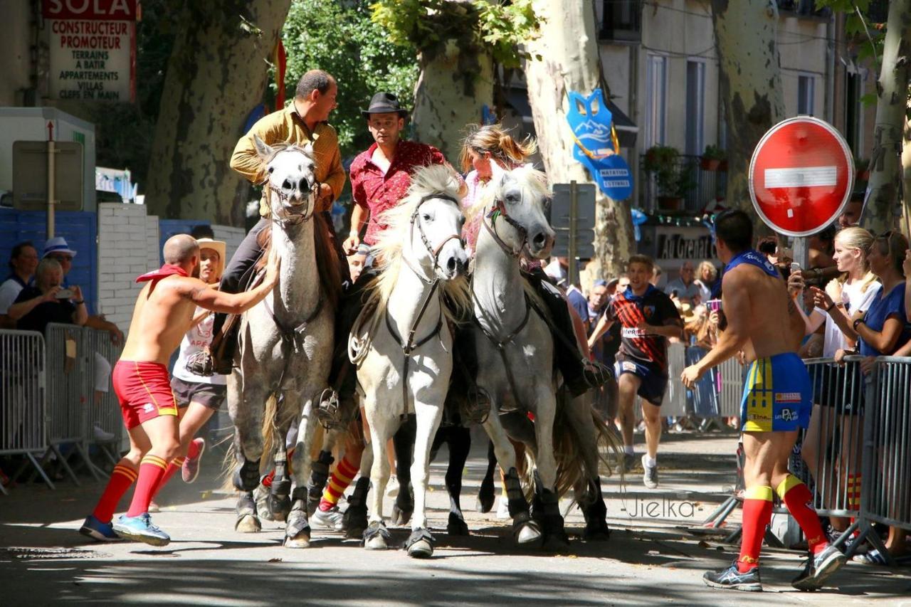 شقة La Cigogne Céret المظهر الخارجي الصورة