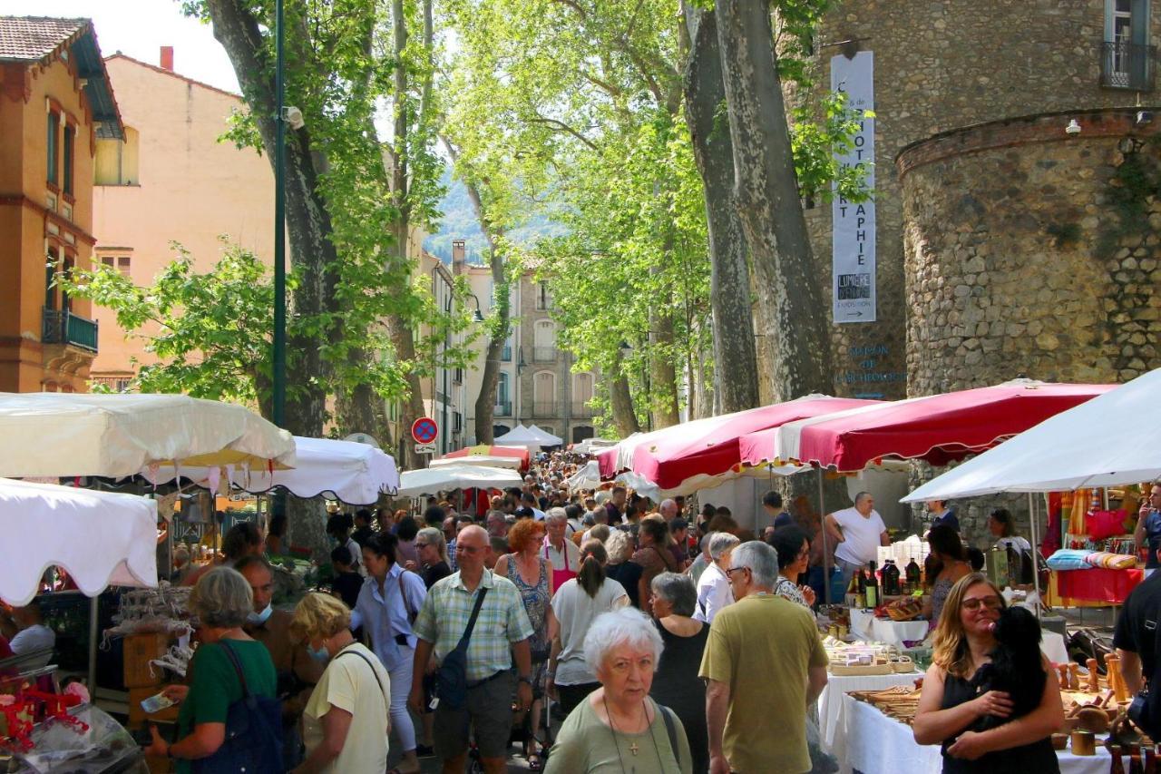 شقة La Cigogne Céret المظهر الخارجي الصورة