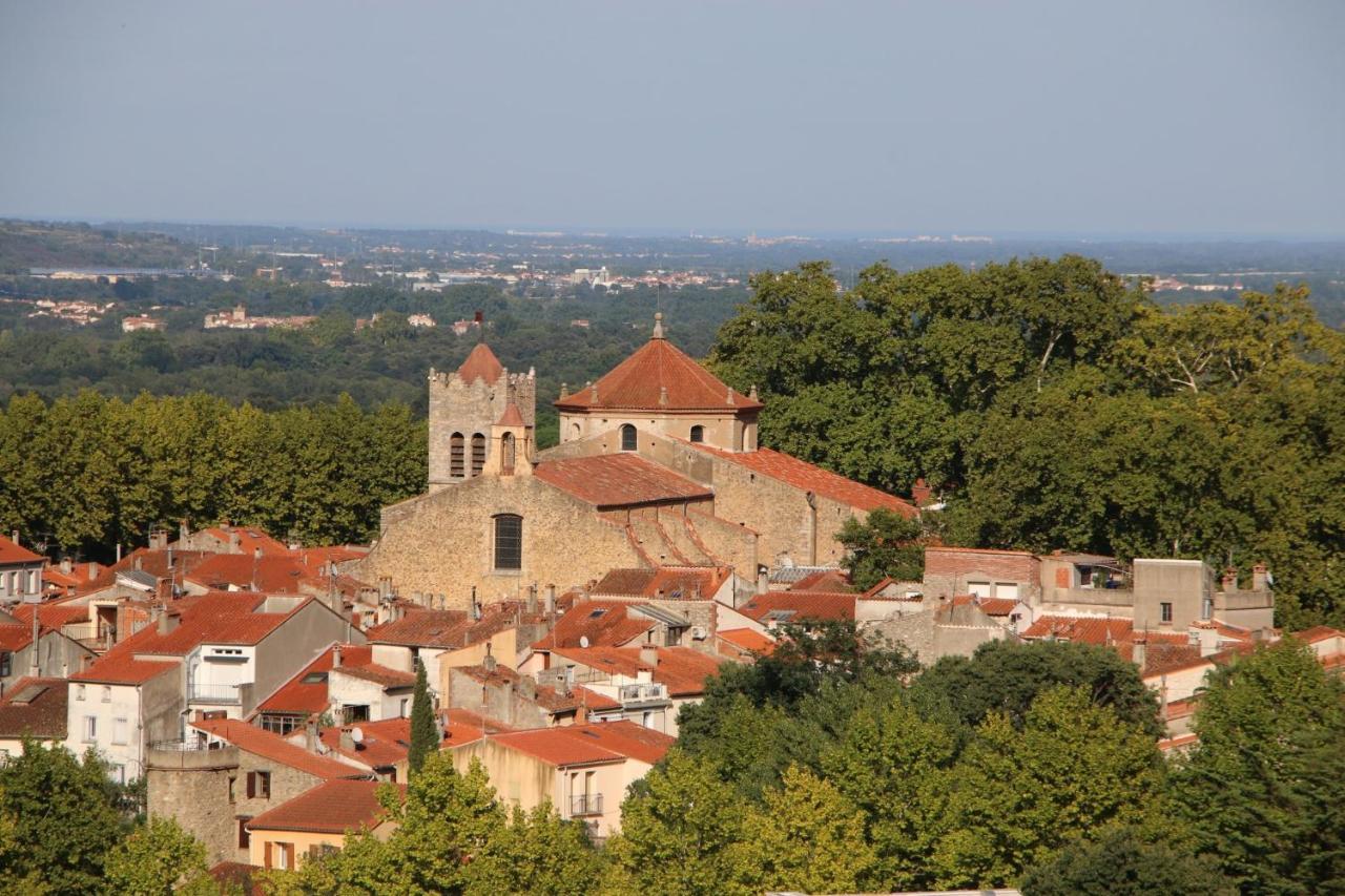 شقة La Cigogne Céret المظهر الخارجي الصورة