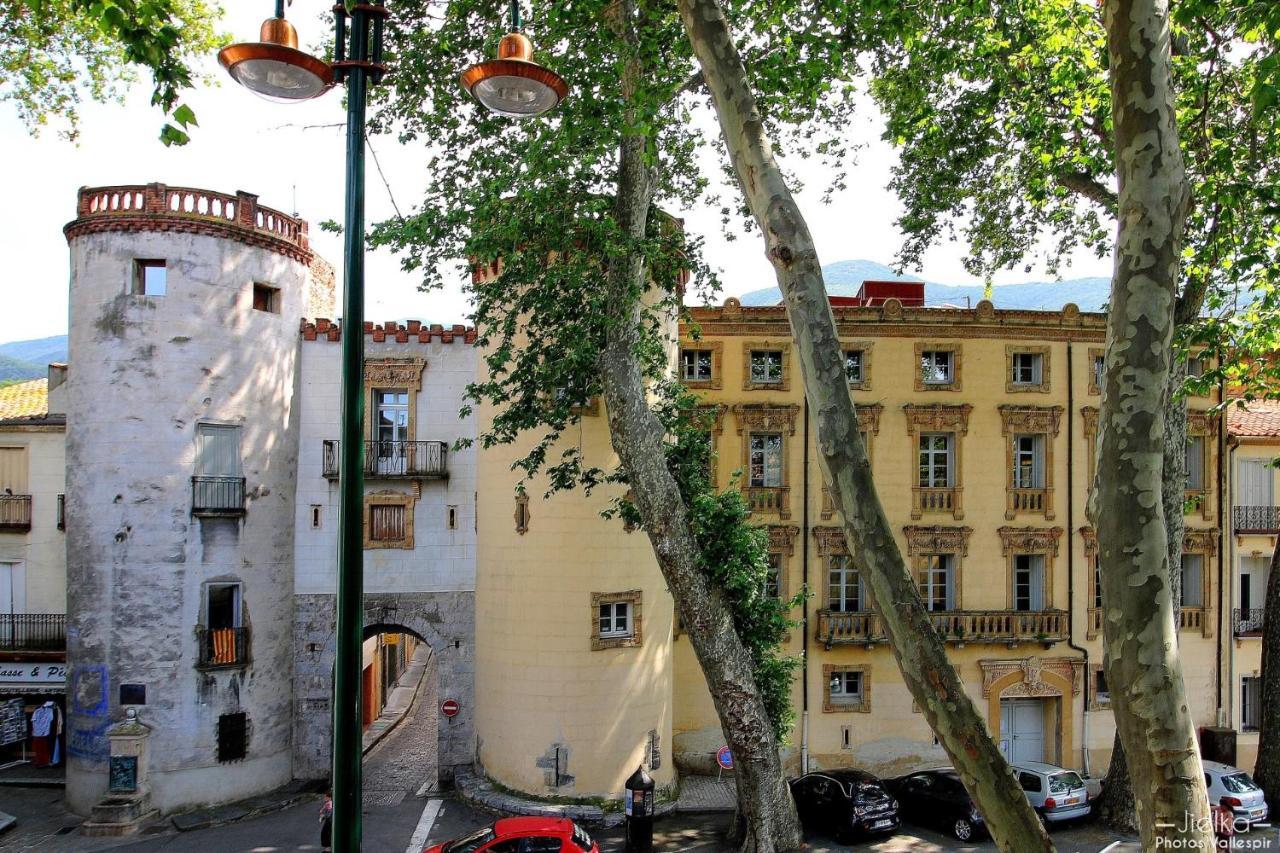 شقة La Cigogne Céret المظهر الخارجي الصورة