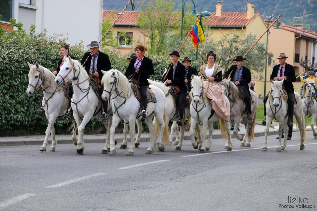 شقة La Cigogne Céret المظهر الخارجي الصورة