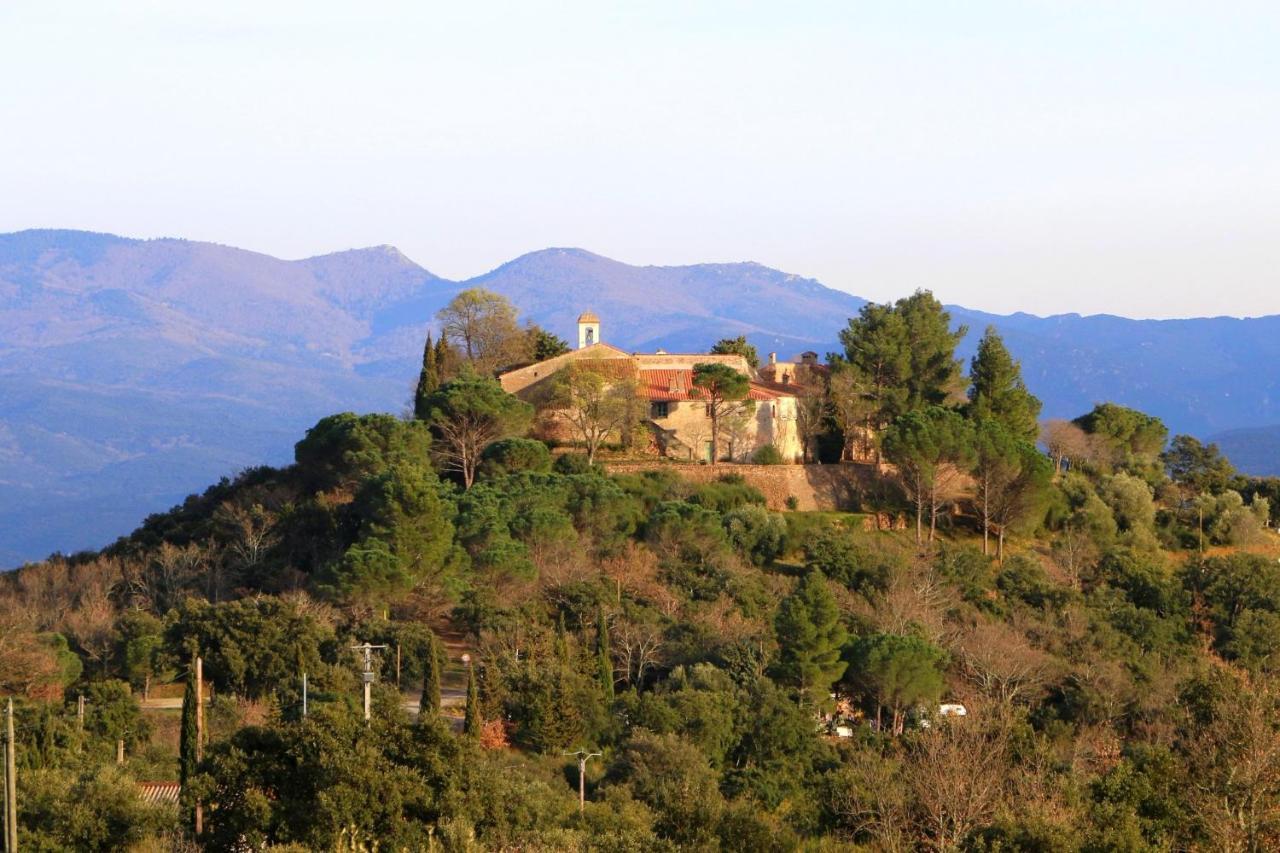 شقة La Cigogne Céret المظهر الخارجي الصورة